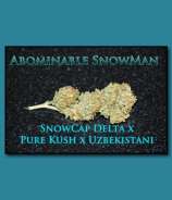 SnowHigh Seeds Abominable SnowMan