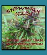 SnowHigh Seeds Crazy Train