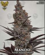 Solfire Gardens Mando