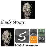 Stoney Girl Gardens Black Moon