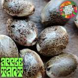 Supernaturalseeds.uk Apple Tart