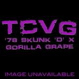 TCVG Shit '78 Skunk 'D' x Gorilla Grape