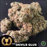 The Devil's Harvest Seed Company Devils Glue