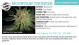 The Farm Genetics Mountain Thunder