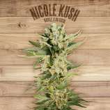 The Plant Nicole Kush