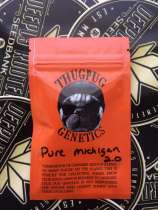 ThugPug Genetics Pure Michigan 2.0