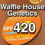 Waffle House Genetics SPF 420