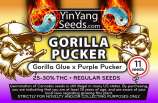 Yin Yang Seeds Gorilla Pucker