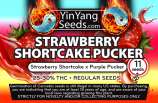 Yin Yang Seeds Strawberry Shortcake Pucker