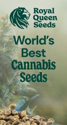 World’s best seeds