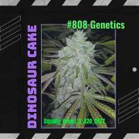 808 Genetics Dinosaur Cake - ein Foto von SquallyGrowzit