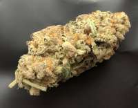 Apothecary Genetics GMO - ein Foto von nicotiro