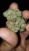 Bild von Gsmoky25 (Platinum Cookies)