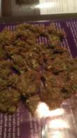 Bild von WildBmx82 (Blue Cheese)