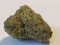 GemSearch Original Dank Deuce'Ano Donmiano 6457 - ein Foto von GeechiJES