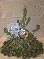 Green House Seeds Franco's Lemon Cheese - ein Foto von Chesterland