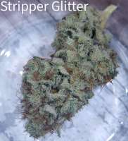 Green Wolf Genetics Stripper Glitter - ein Foto von ripster420