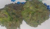 Bild von NeWcS (Bubba Kush)