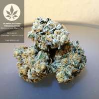 Humboldt Seed Organisation Chocolate Mint OG - ein Foto von pineappleltd