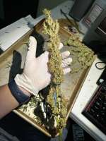 Ministry of Cannabis Big Bud - ein Foto von pdxgrow