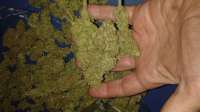 Bild von New420Guy (Blue Tahoe)