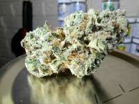 Ocean Grown Seeds Alien Abduction - ein Foto von KicksConnisseur