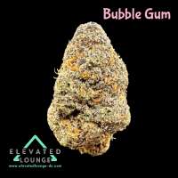 Pic for Bubble Gum (Plantamaster Seeds)