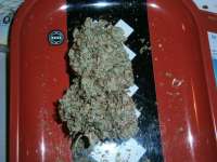 Bild von loveweed27 (Ghost Train Haze Nr1)