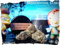 Royal Queen Seeds Presidential OG - ein Foto von Justin108