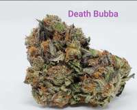 Sea to Sky Alternative Healing Death Bubba - ein Foto von TheHappyChameleon