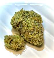 Seed Junky Genetics Emergen-C - ein Foto von EmergenC