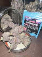 Solfire Gardens Bahama Mama - ein Foto von TherapeuticGrower