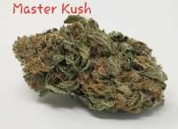 Bild von TheHappyChameleon (Master Kush)