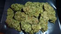 Spliff Seeds Spliff Cheese - ein Foto von CannaHeaven