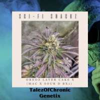 Bild von Talezofchronic1 (Sci-Fi Snackz)