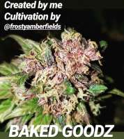 Bild von TheBakeryGenetics (BakedGoodz)