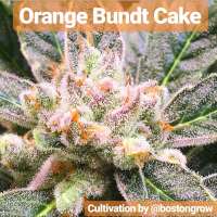 Bild von Thebakerygenetics (Orange Bundt Cake)