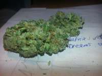 Bild von KushIsGood (Afghan Kush)