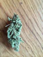 Bild von dieselhaze (White Diesel Haze Automatic)