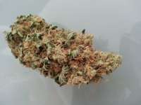 Bild von KushIsGood (White Ice)