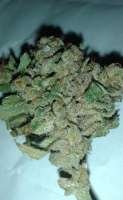 Bild von wasgedn (Sour Diesel)