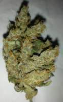 Bild von wasgedn (Sour Diesel)