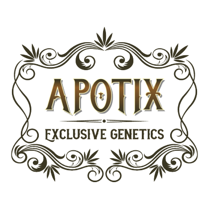 Apotix Seeds