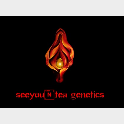 SeeyouNtea Genetics